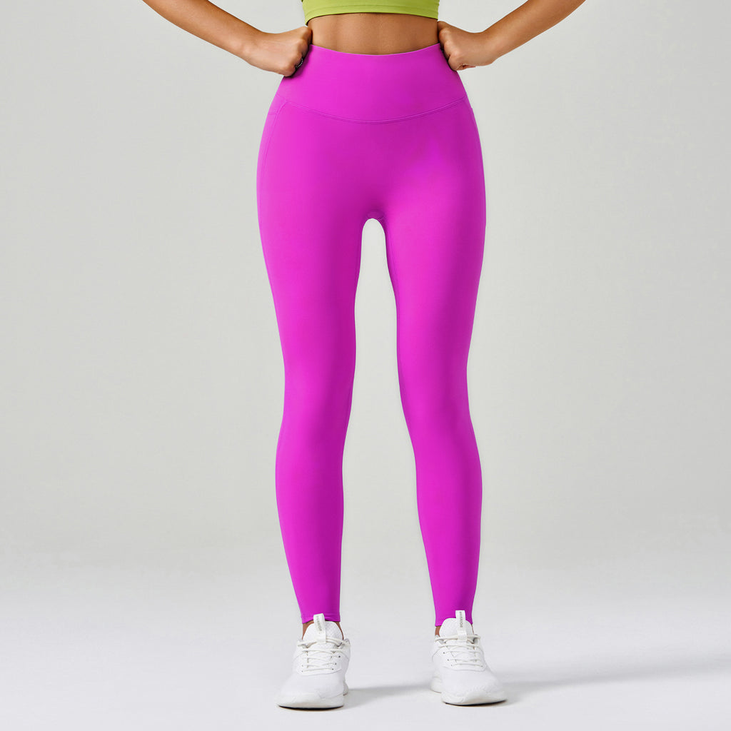 Purple Rose Red Purple Rose Red