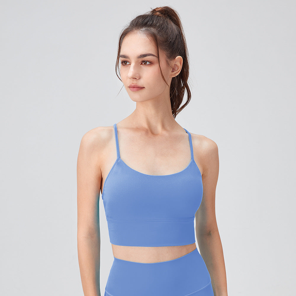 Sinomenium Acutum Blue